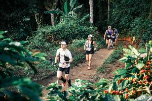 BIB: 
                            <button type="button" onclick="openModal(25822356)" class="btn btn-primary btn-sm float-right btn-popup" data-toggle="modal" data-target=".modal-high-quality">
                        <i class="fas fa-shopping-cart"></i> Add to Cart
                    </button>
                                            <button type="button" onclick="isThisMe(25822356, true)" class="btn btn-success btn-sm float-right btn-popup btn-isme hidden" data-toggle="tooltip" data-placement="bottom" title="นี่คือรูปของคุณใช่ไหม คลิกที่นี่เพื่อเอาเข้าอัลบั้ม">
                        <i class="fas fa-plus"></i> Add to album
                    </button>
                    <button type="button" onclick="isThisMe(25822356, false)" class="btn btn-warning btn-sm float-right btn-popup btn-isnotme hidden">
                        <i class="fas fa-ban"></i> Remove from album
                    </button>